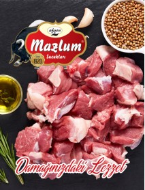 Mazlum Dana Kuşbaşı